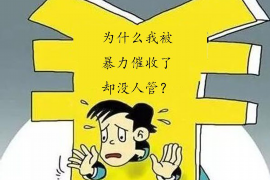 单县债务清欠服务