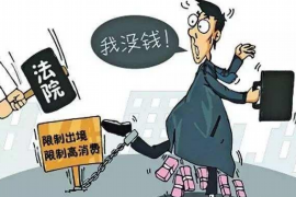 单县企业清欠服务